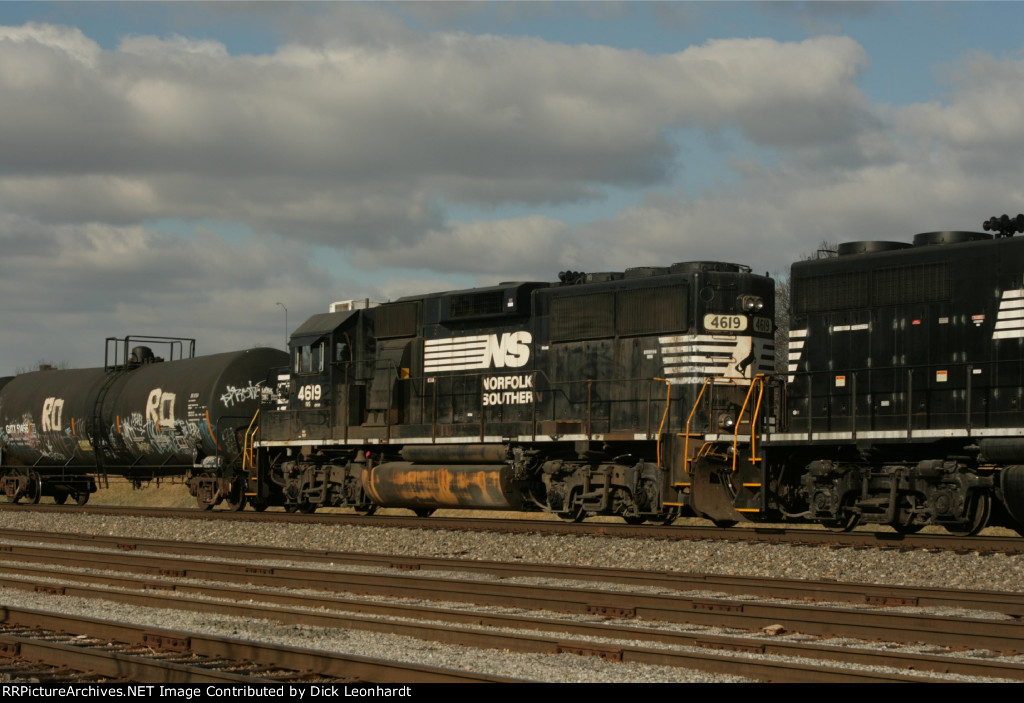 NS 4619